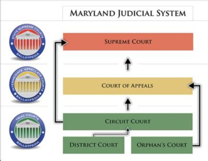 What does the Maryland Court of Appeals do?