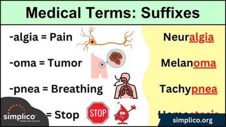 What does the medical suffix ite mean?
