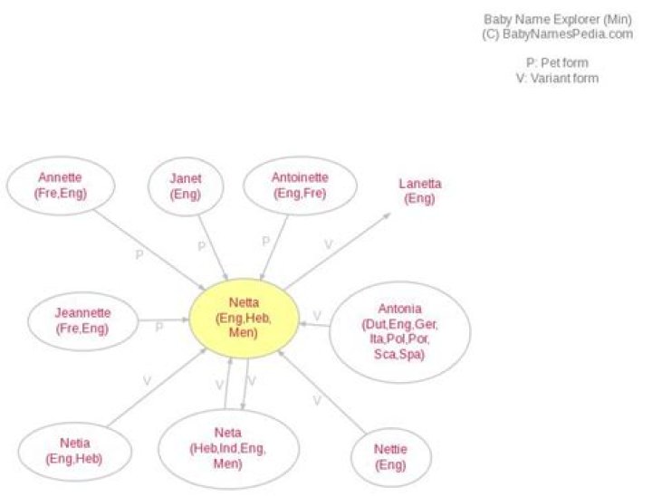 What does the name Netta mean?