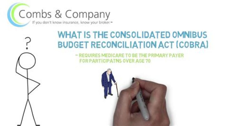 What does the Omnibus Budget Reconciliation Act do?