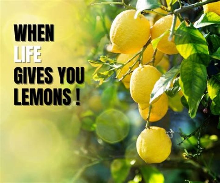 What does the phrase When life gives you lemons mean?