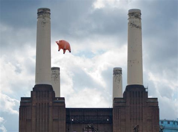 What does the pig represent in Pink Floyd?