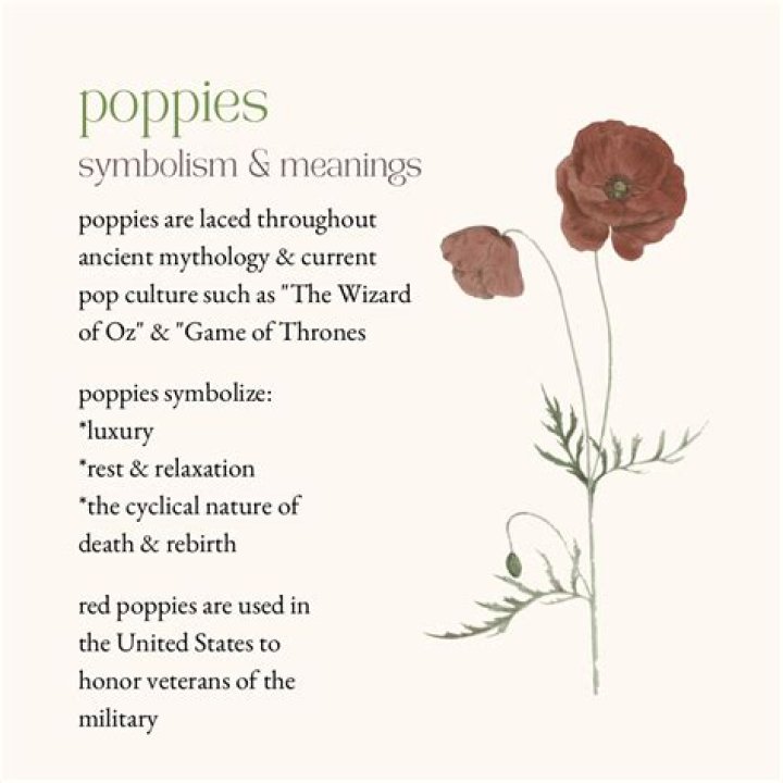 What does the poppy symbolize?