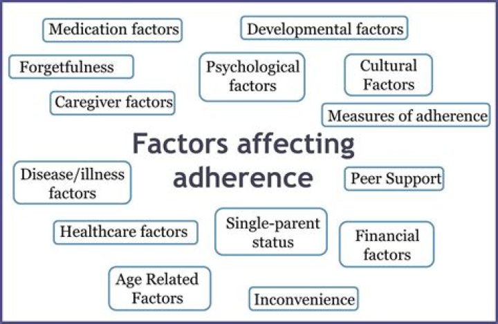 What does the term adherence refer to?