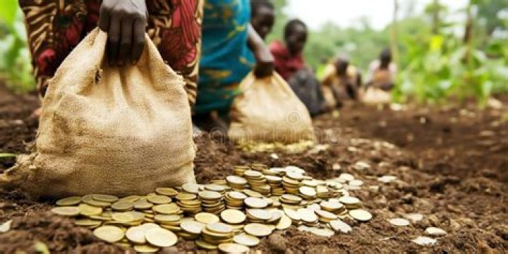 What does the World Bank do to reduce poverty?