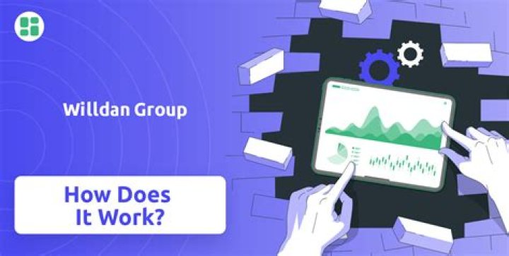 What does willdan group do?