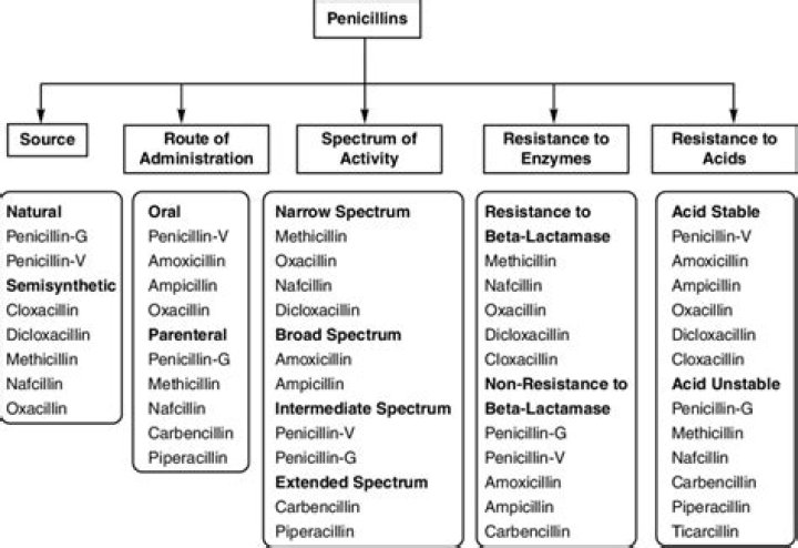 What drugs are contraindicated with penicillin?
