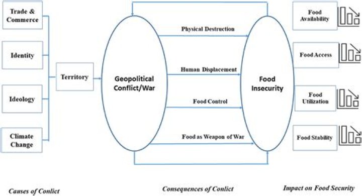 What effect does war have on the economy?