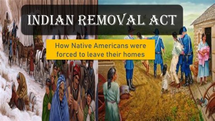 What effects did the Indian Removal Act have on the Native American population?