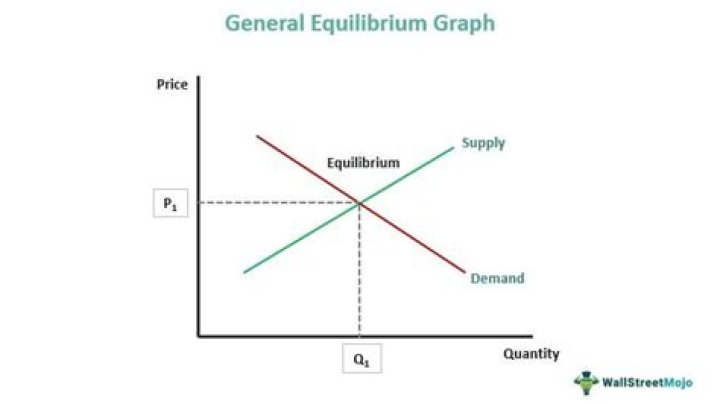 What general equilibrium means?