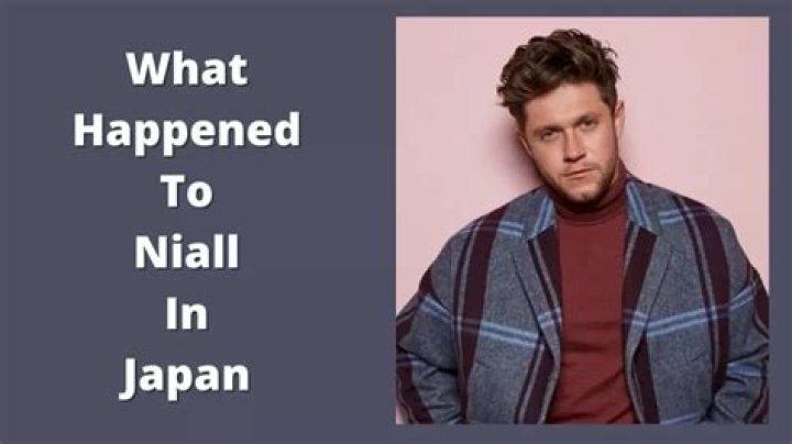 What happened in a hotel in Japan with Niall Horan?