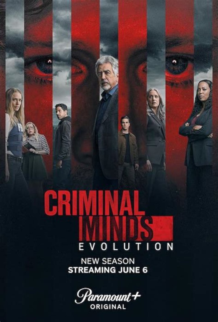 What happened in Season 5 episode 13 of Criminal Minds?