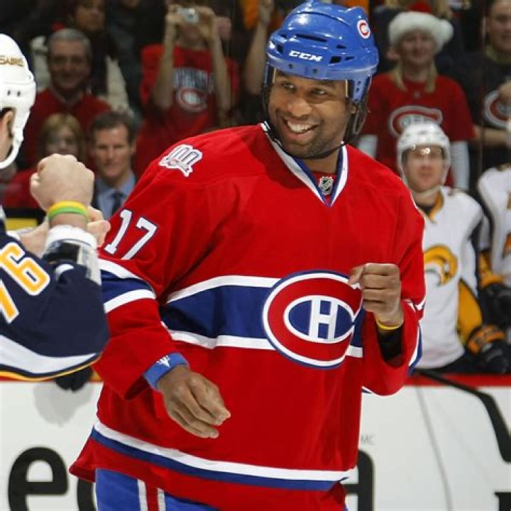 What happened to Georges Laraque?