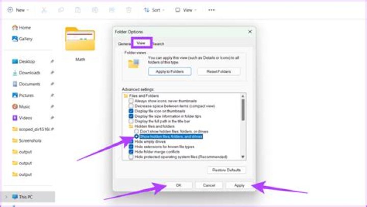 What happened to my drop box files?