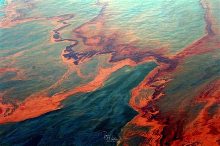 What happened to oil in the 1980s?