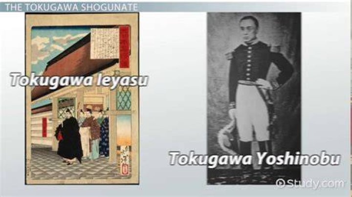 What happened to Tokugawa?
