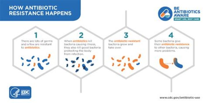 What happens if you take too many antibiotics for UTI?