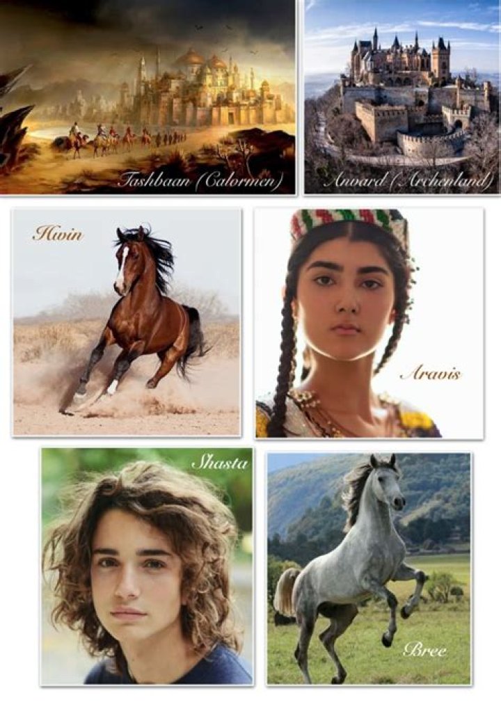 What happens in The Horse and His Boy Narnia?
