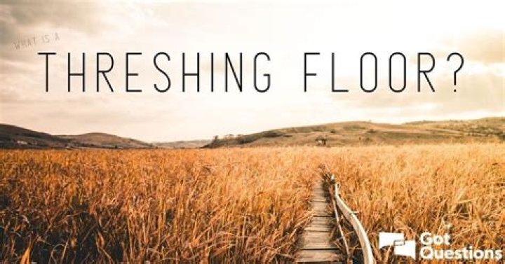 What happens on the threshing floor?