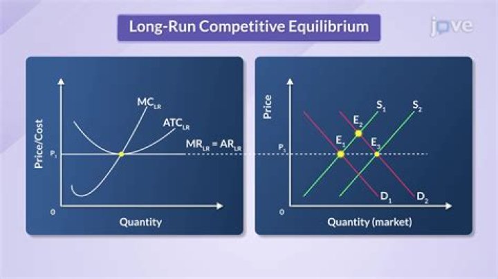 What happens to a perfectly competitive firm in the long run?