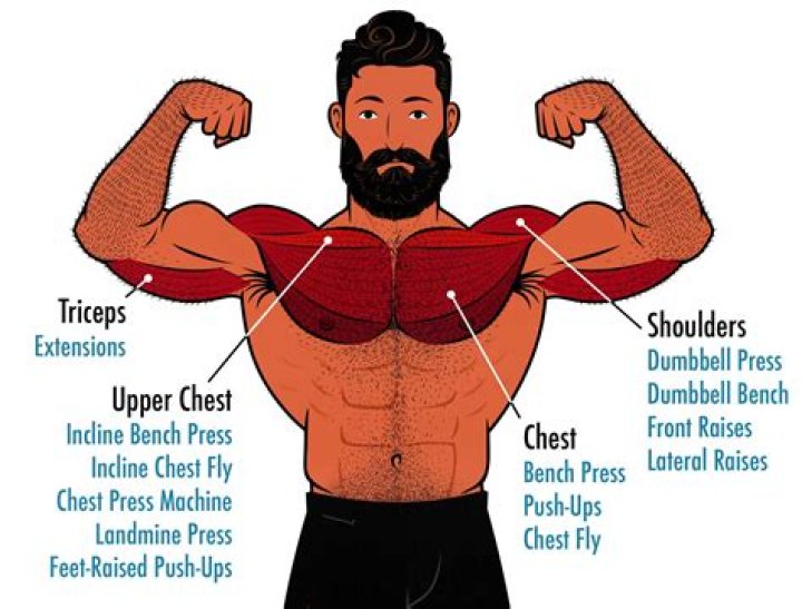 What hits the upper chest?