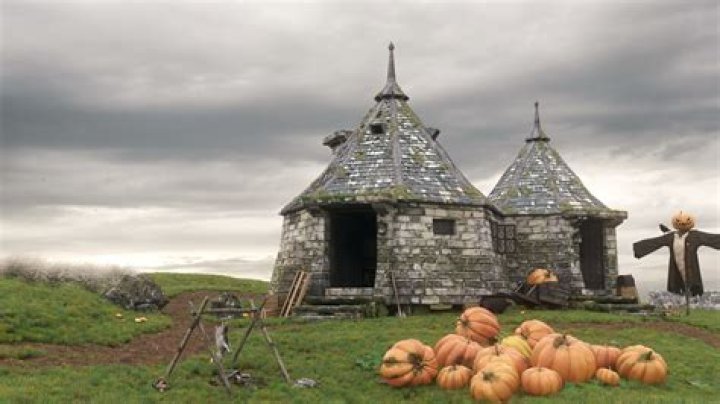 What house was Hagrid in Pottermore?
