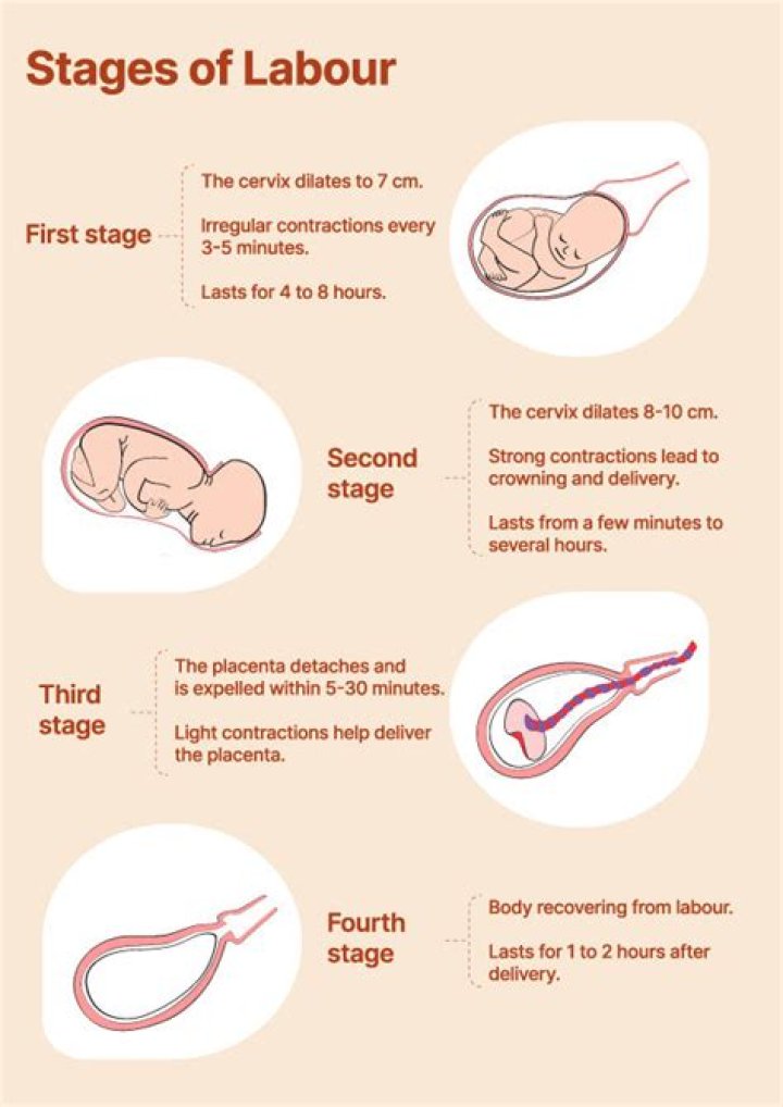 What indicates the beginning of labor?
