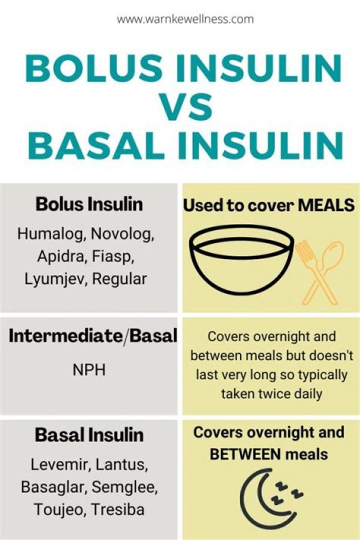 What insulins are basal?