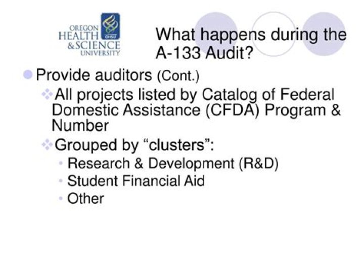 What is a-133 audit report?