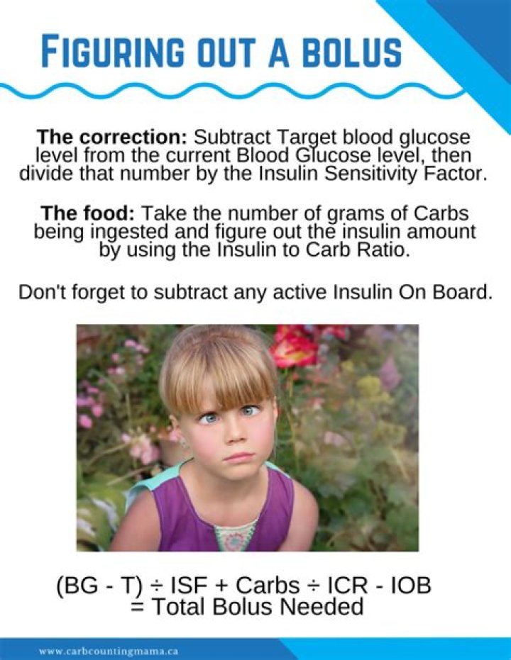 What is a bolus of glucose?