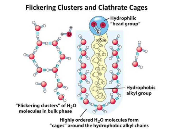 What is a clathrate in water?