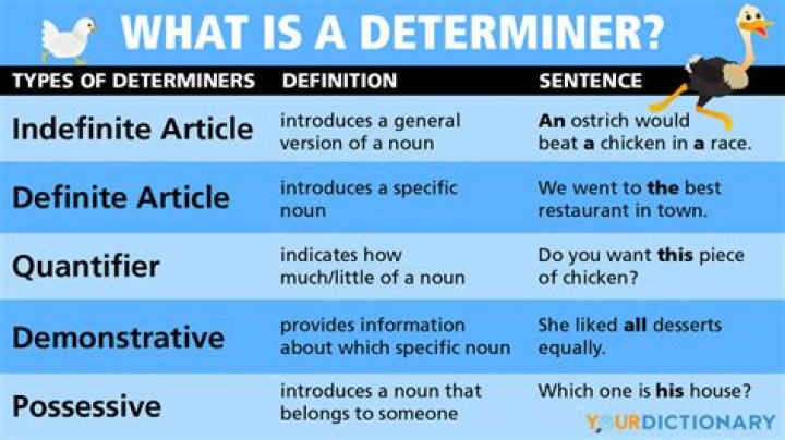 What is a determiner in syntax?