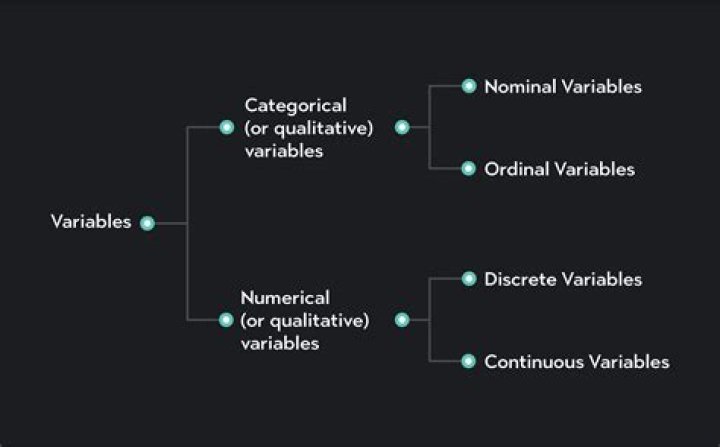 What is a discrete speaker?