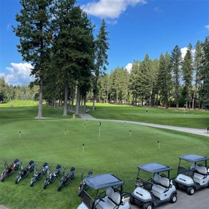 What is a Golf Plus?