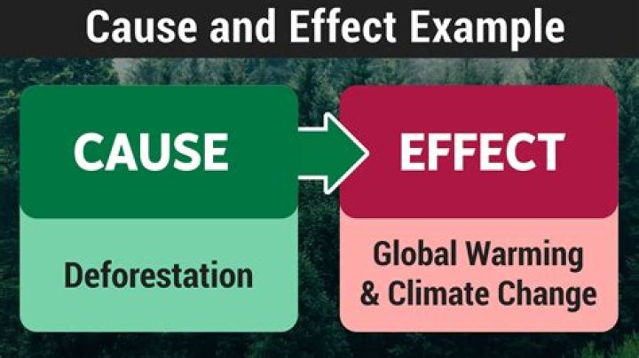 What is a good example of cause and effect?