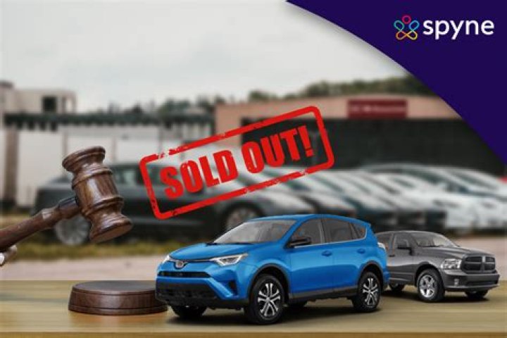 What is a government auto auction?