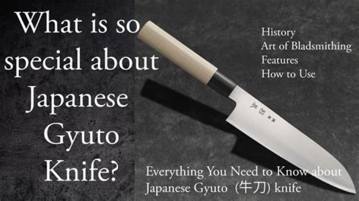 What is a Gyuto knife good for?
