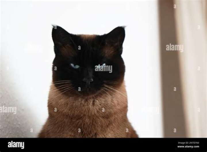 What is a menacing look?