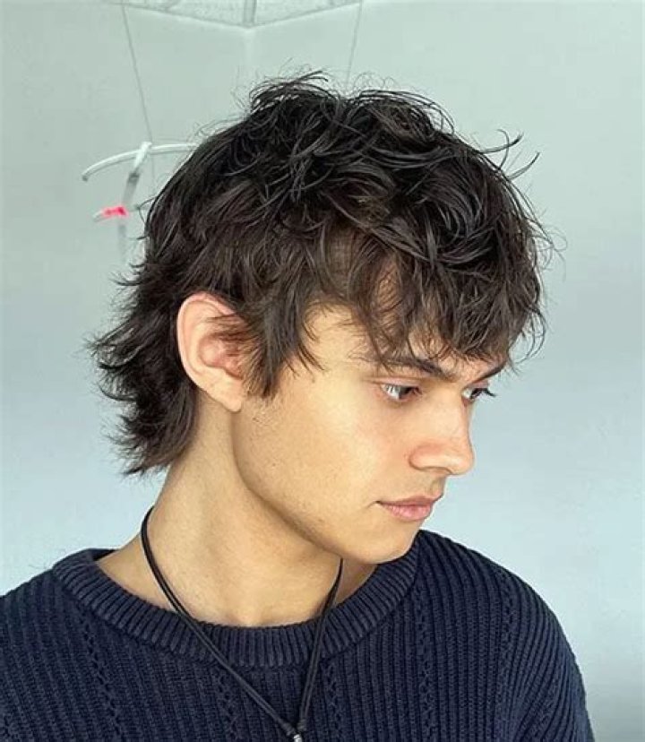 What is a mod haircut called?