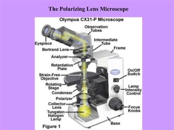 What is a polarizing microscope used for in forensics?
