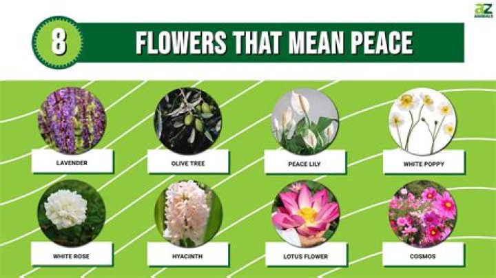 What is a song that represents peace?