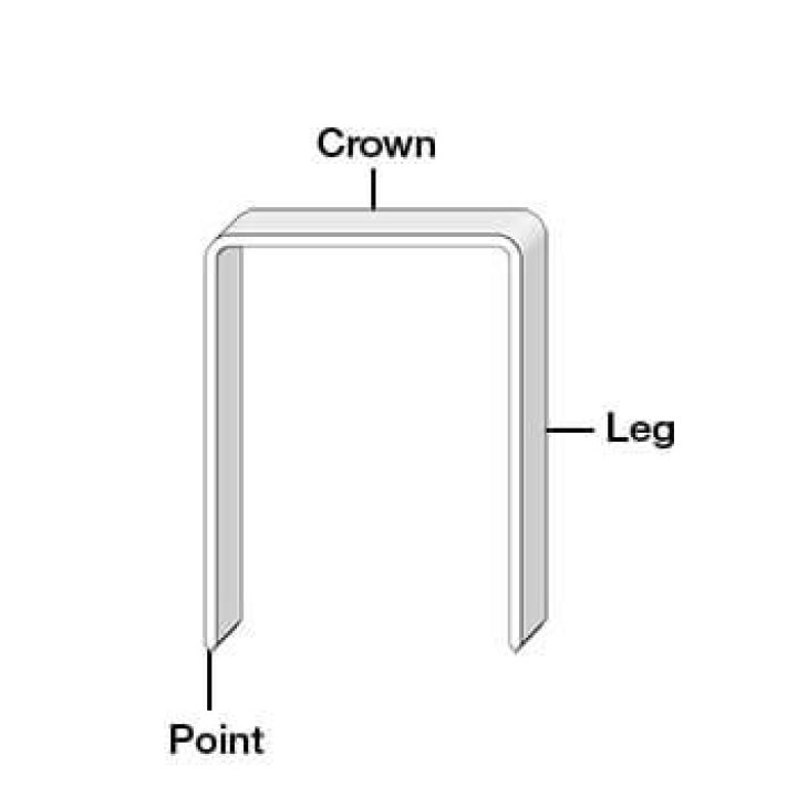 What is a staple crown?