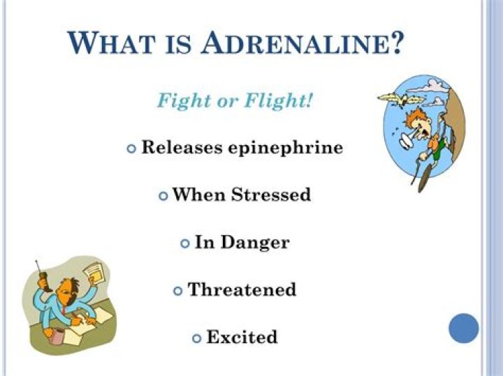 What is adrenaline in fight-or-flight?