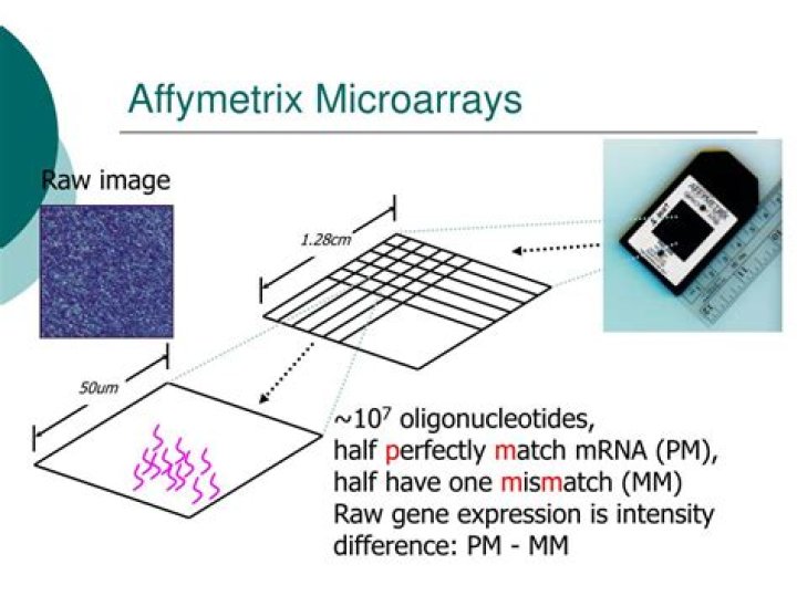 What is Affymetrix microarray?