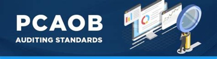 What is aicpa auditing standards?