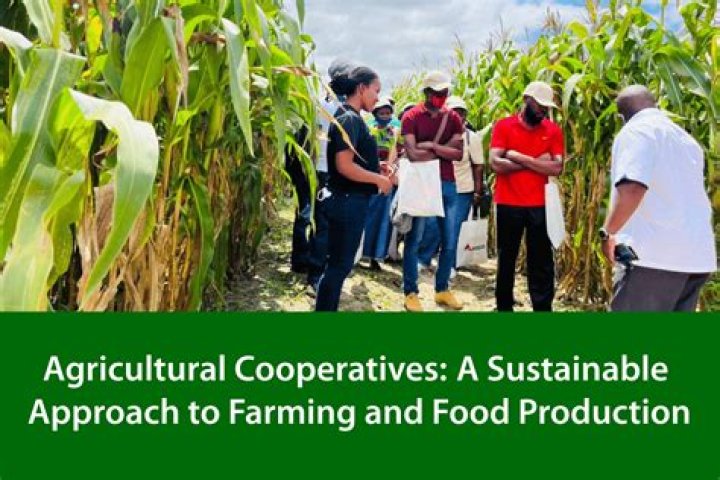 What is an ag cooperative?