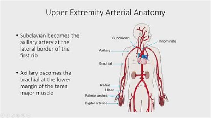 What is an arterial duplex upper extremity?