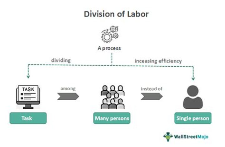 What is an effect of the division of labor?