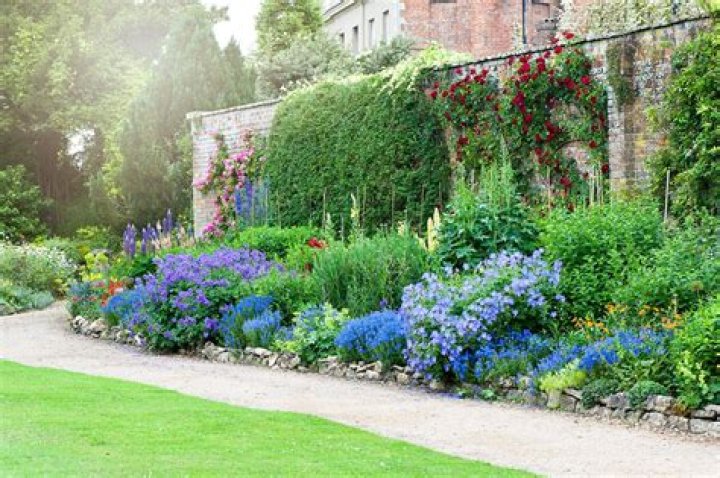 What is an English garden border?