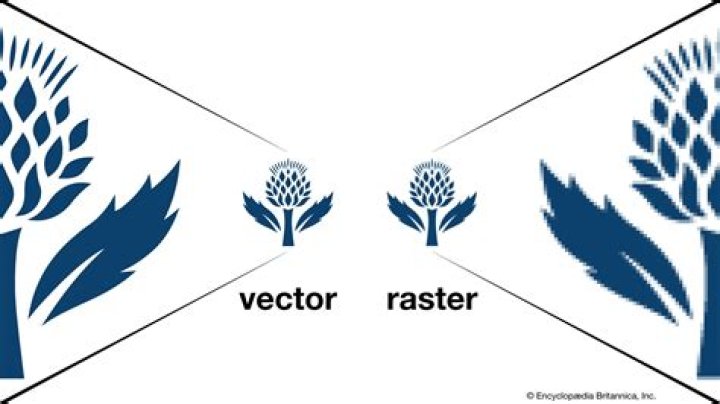 What is an example of a raster image?